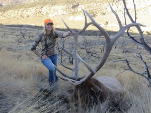 Elk Hunts